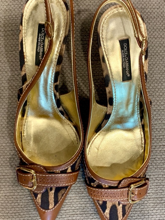 Dolce & Gabbana Shoes - Dolce & Gabbana Leopard Print Pointed Slingback Heels - Brown/Gold